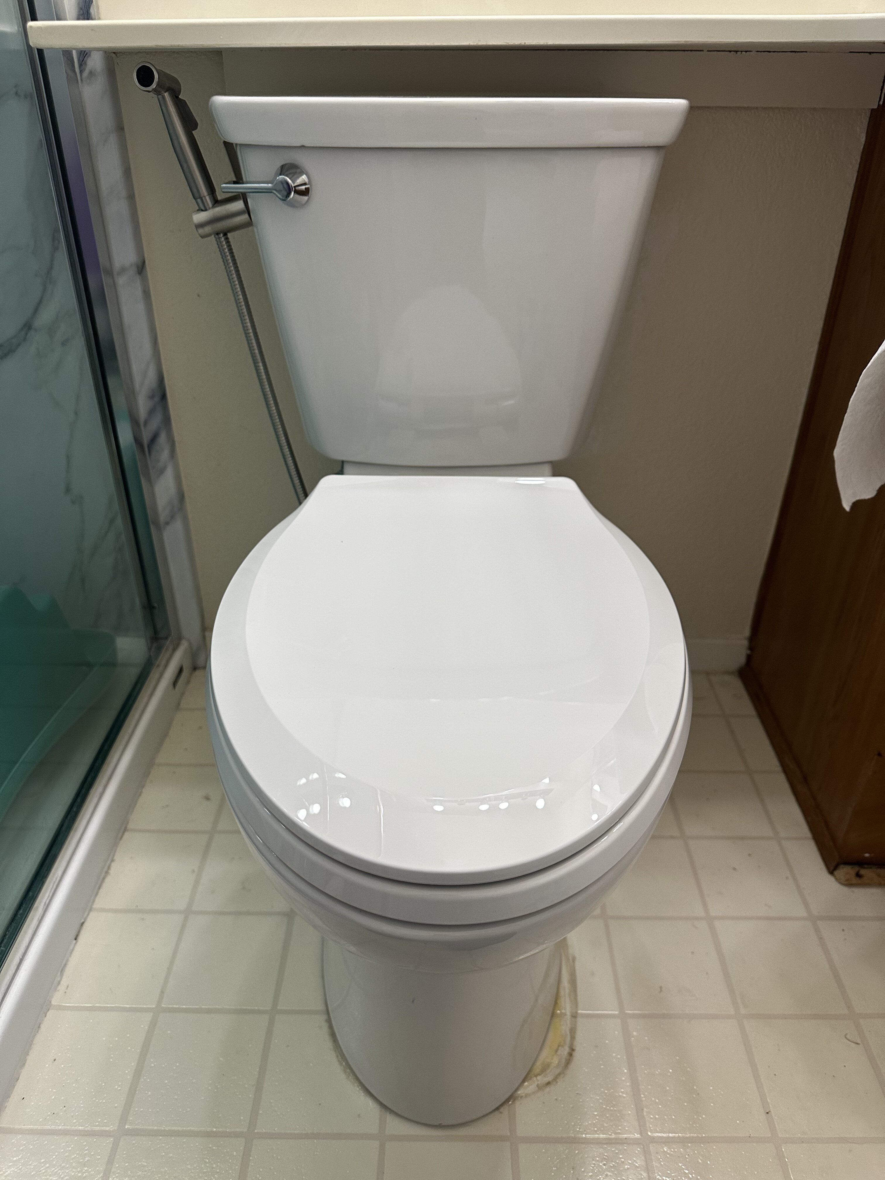 Toilet Replacement