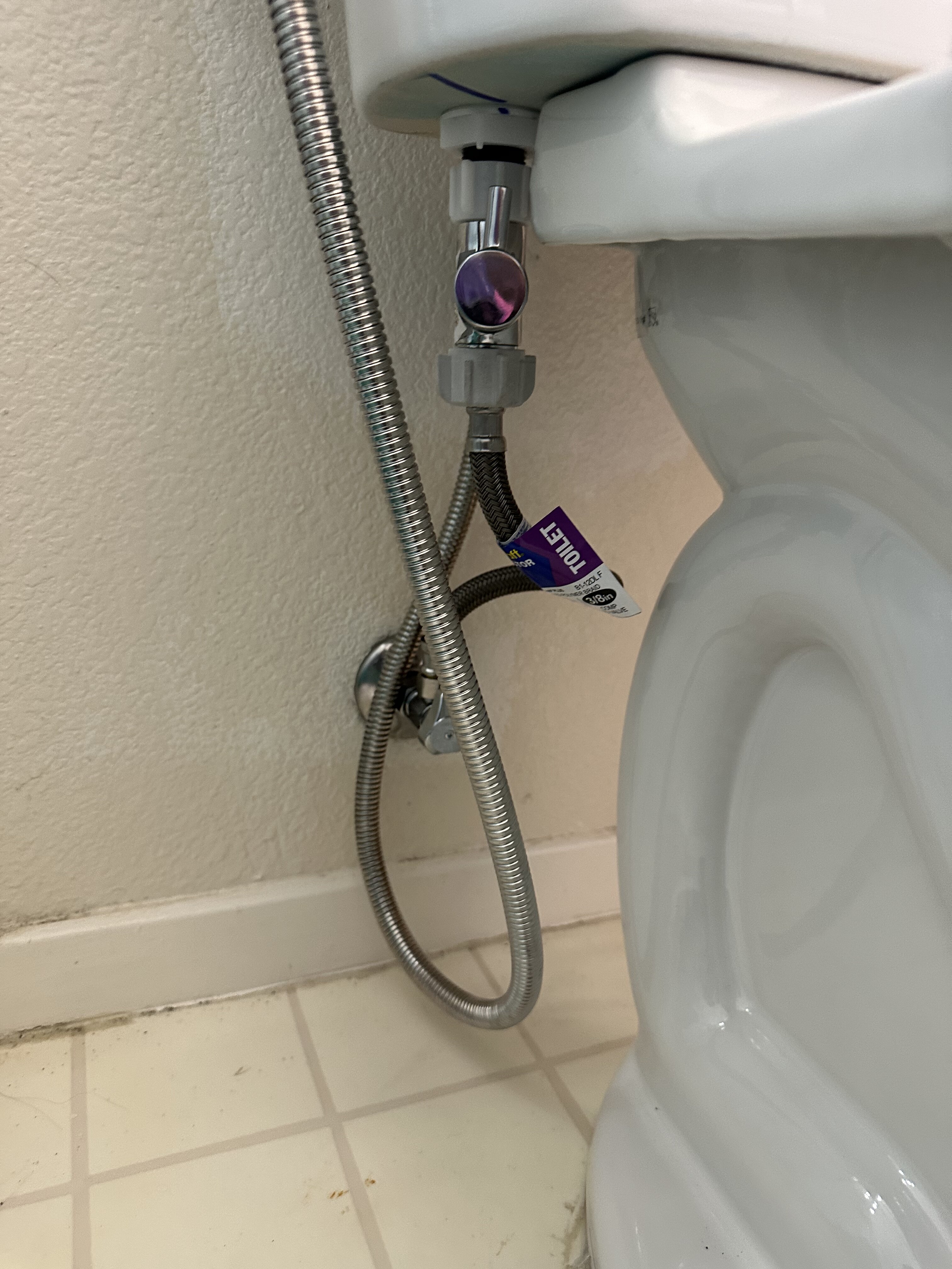 Toilet Replacement
