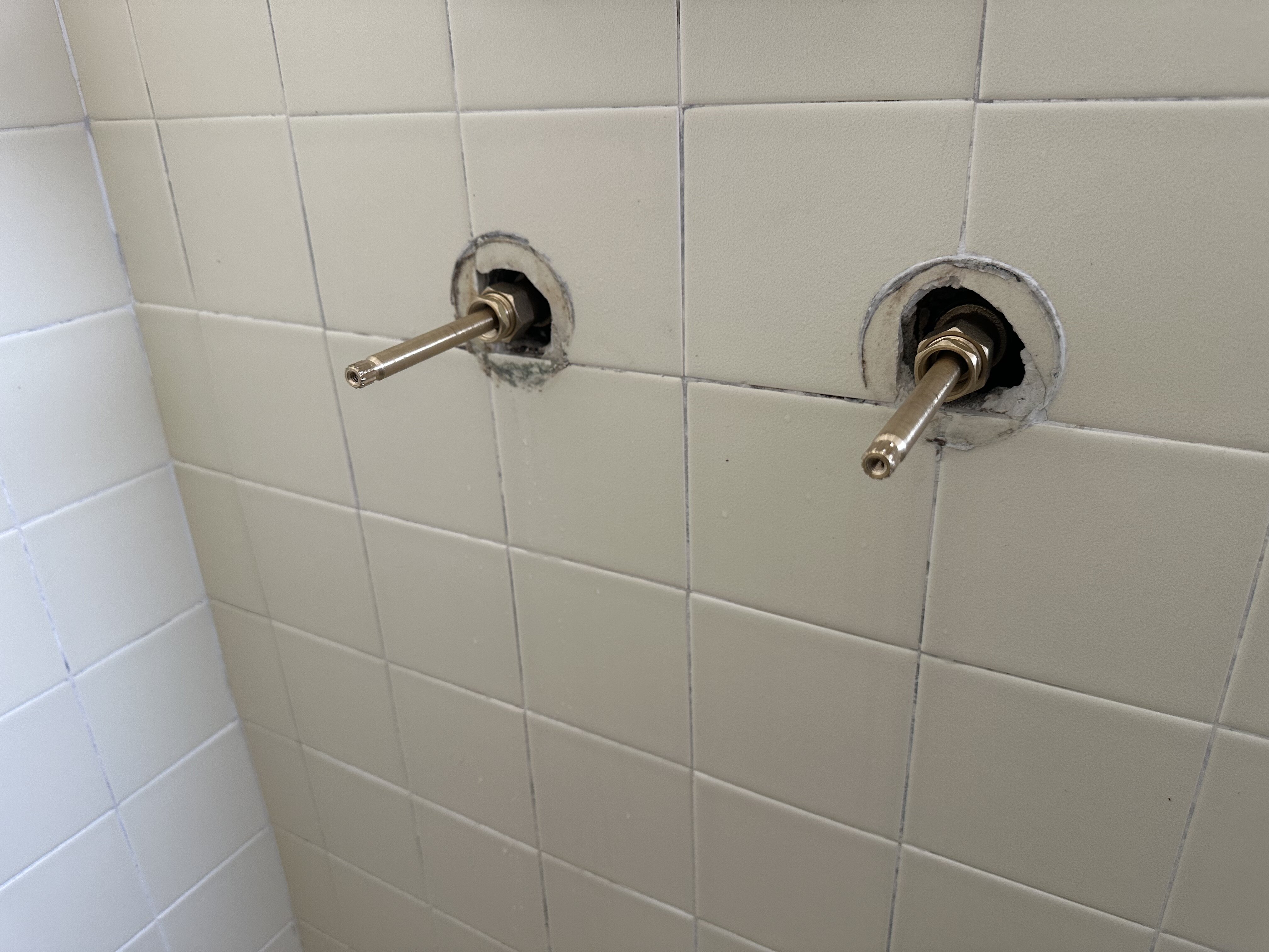 Shower Cartridge Replacement