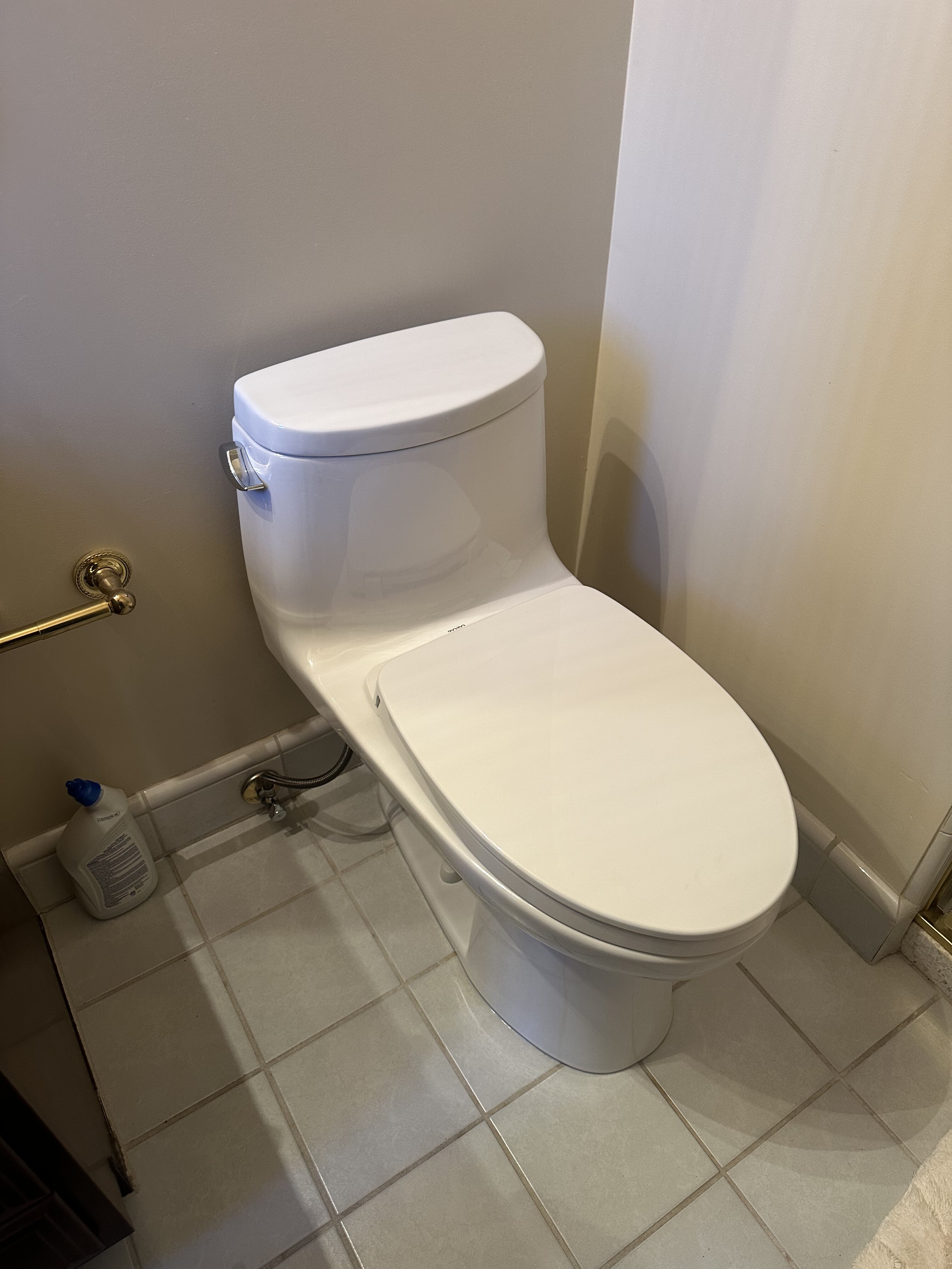Toilet Replacement