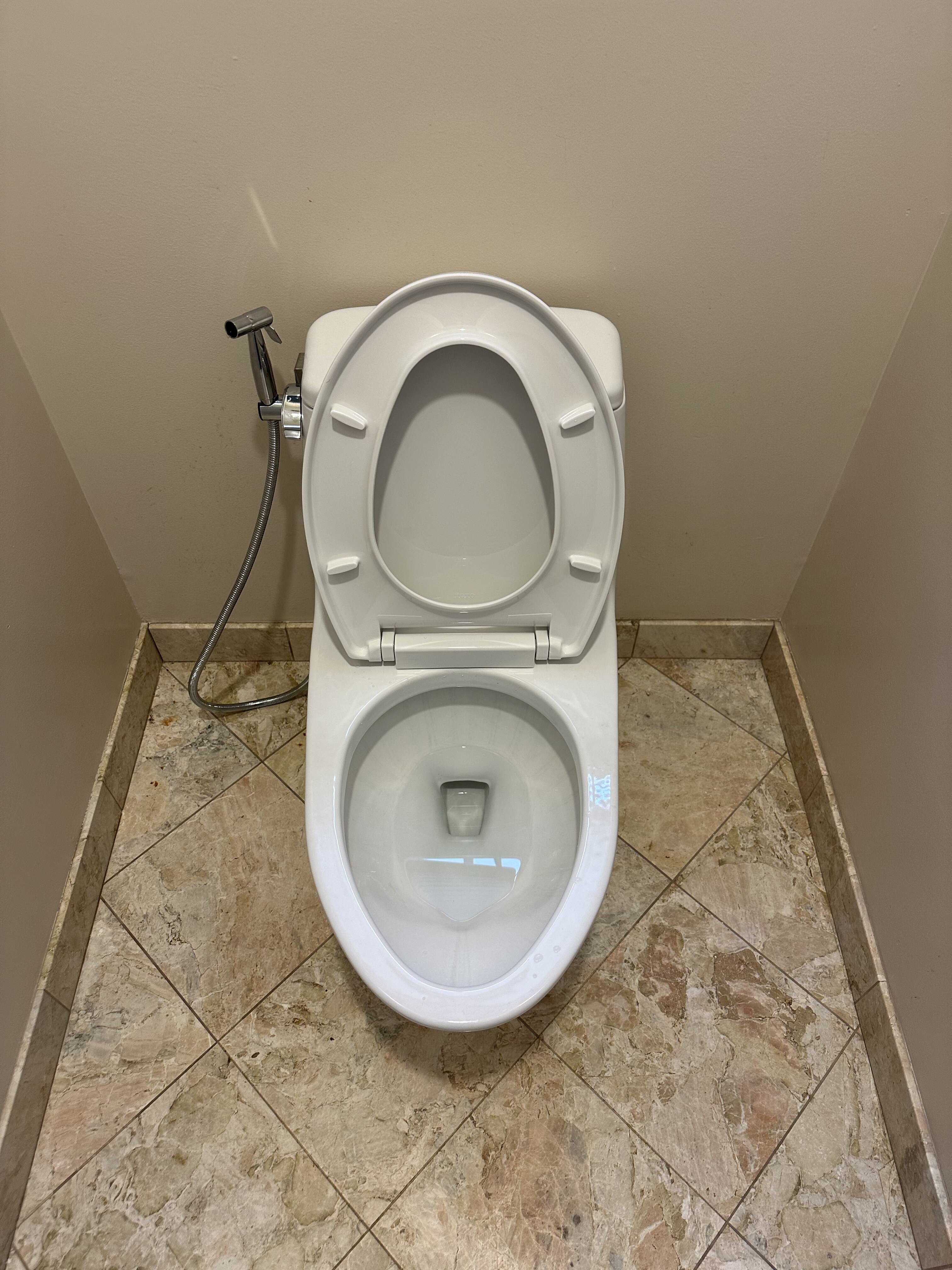 Toilet Replacement